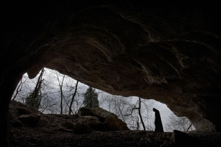 Illustration for article titled Superheroes in nature: A photography set